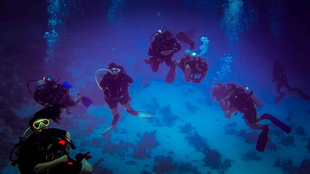 Picture 3 for Activity Hurghada: PADI Advanced Open Water Course