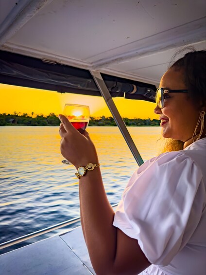 Picture 7 for Activity Victoria Falls: Sunset Cruise on the Zambezi River