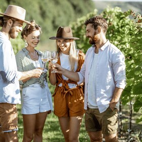From Berat: Guided Winery Tour with Transfers and Tastings
