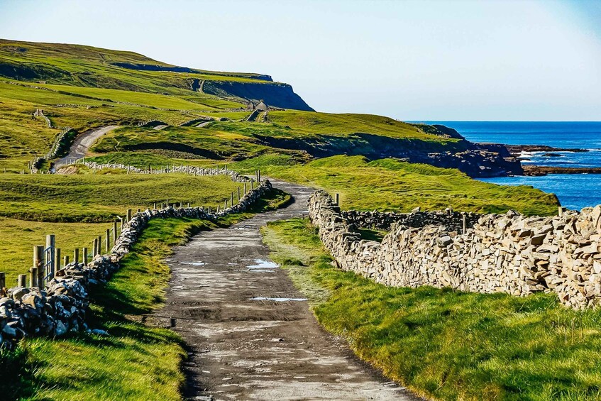 Picture 5 for Activity From Galway: Aran Islands Day Trip & Cliffs of Moher Cruise