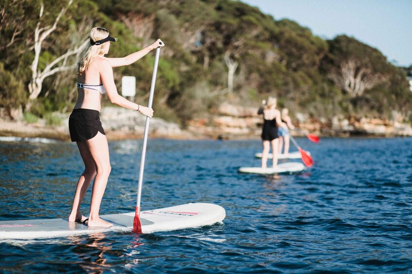 Picture 1 for Activity Manly: Stand Up Paddle Board Public Group Lesson