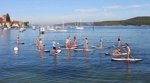 Manly: lección grupal pública de stand up paddle board