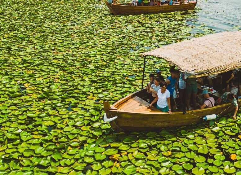 Picture 18 for Activity Lake Skadar: Guided Sightseeing Boat Tour with Refreshments