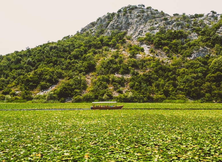 Picture 21 for Activity Lake Skadar: Guided Sightseeing Boat Tour with Refreshments