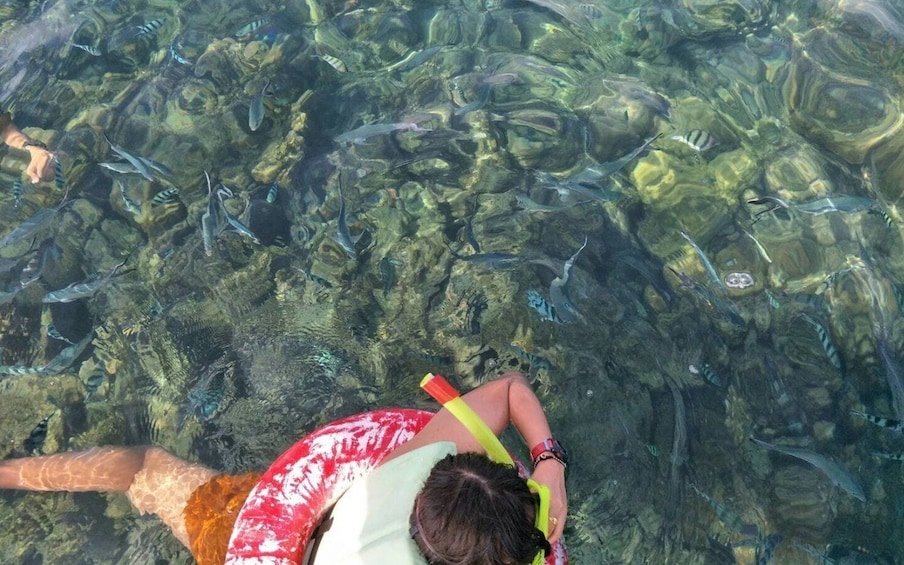 Picture 6 for Activity Koh Samui: Snorkeling and Kayaking by Speedboat