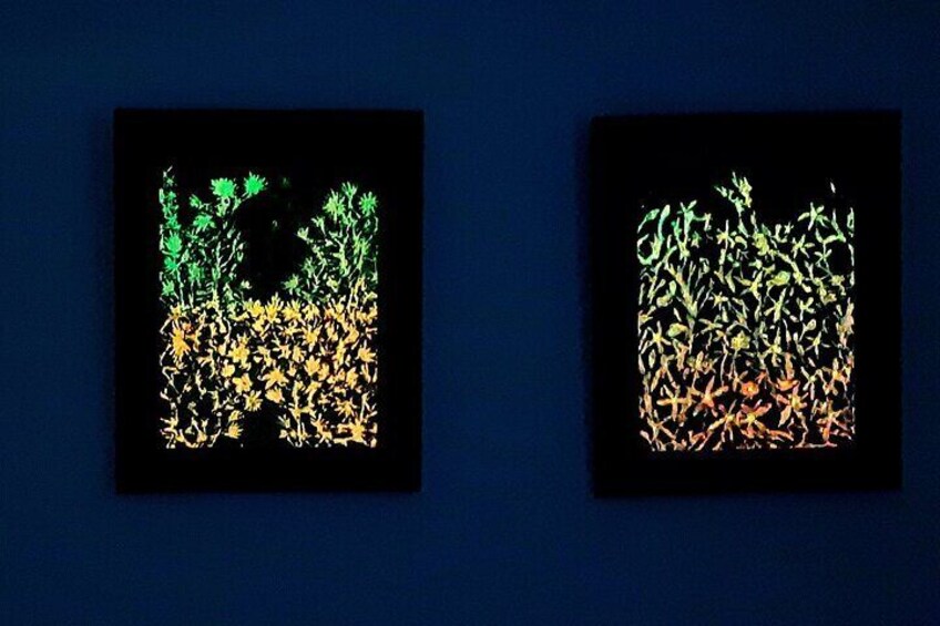 Phosphorescent mineral paintings in the experience room