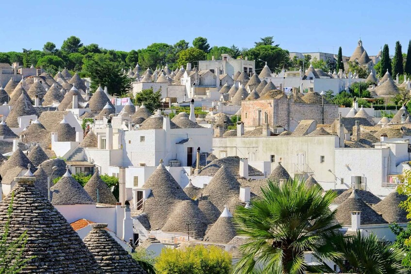 Picture 2 for Activity From Lecce: Ostuni, Alberobello, Polignano Tour