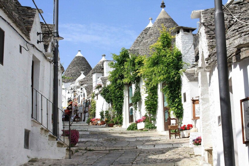 Picture 3 for Activity From Lecce: Ostuni, Alberobello, Polignano Tour