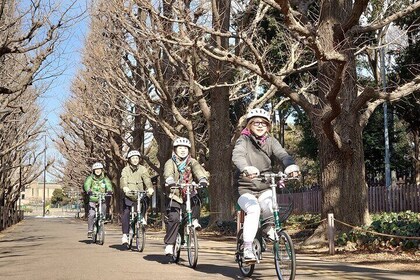 **Starting / Ending at Your Hotel** Tokyo Private E-bike Tour