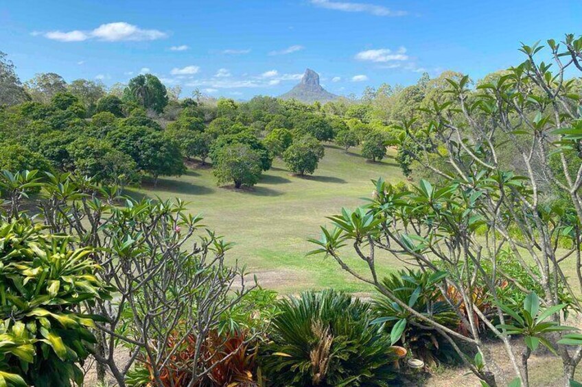 Glass House Mountains Tour by Joel's Journeys