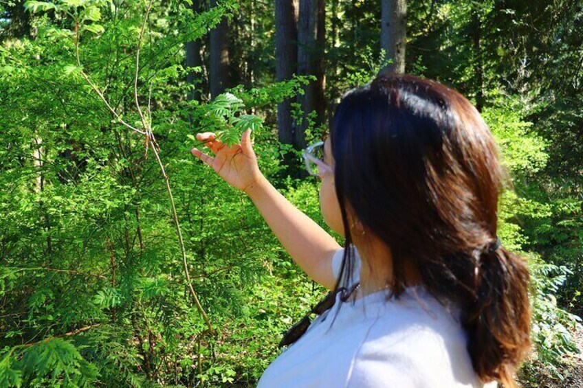 North Vancouver Foraging Workshop Tour