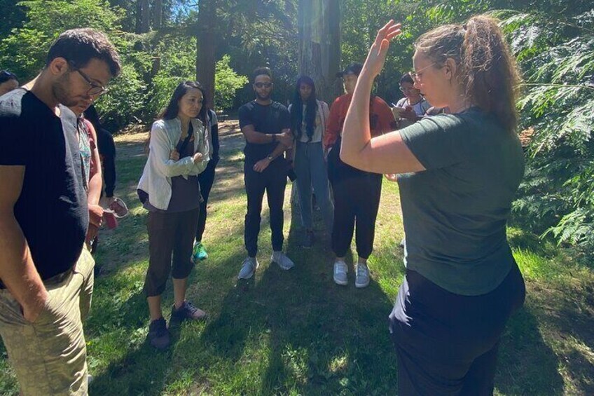 North Vancouver Foraging Workshop Tour