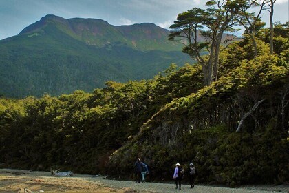 Full Day Private Patagonian Andes Summit Hike