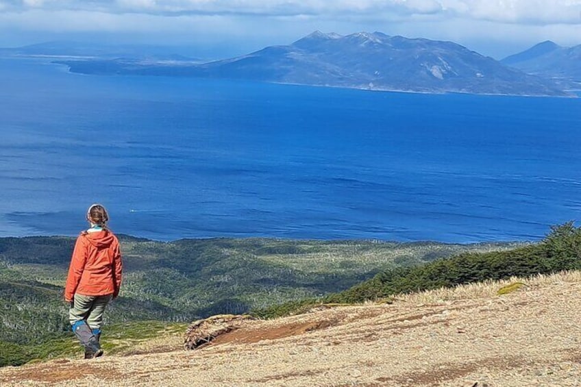 Full Day Private Patagonian Andes Summit Hike