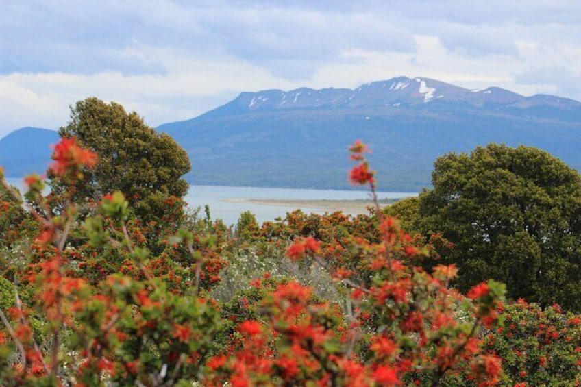 Full Day Private Patagonian Andes Summit Hike