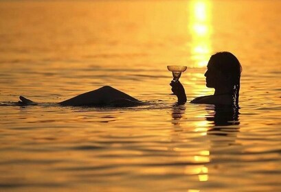 Circuit panoramique du Wadi Al Mujib et de la mer Morte au départ d'Aqaba