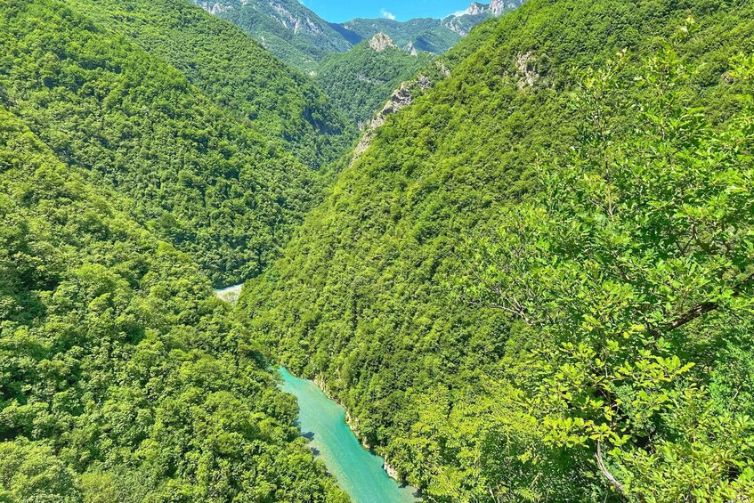 Picture 6 for Activity From Tirana/Shkodra: Komani Lake and Shala River Day Trip