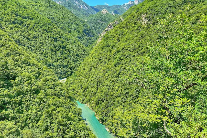 Picture 6 for Activity From Tirana/Shkodra: Komani Lake and Shala River Day Trip