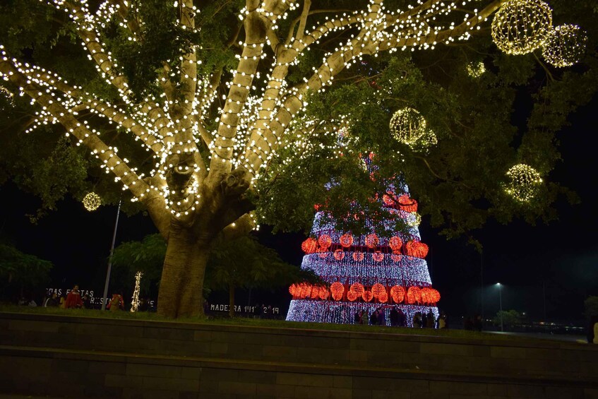 Picture 5 for Activity Funchal: Christmas Lights Tukxi Tour