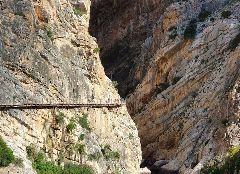 Picture 16 for Activity From Malaga: Caminito del Rey/White Villlages Tour & Tapas