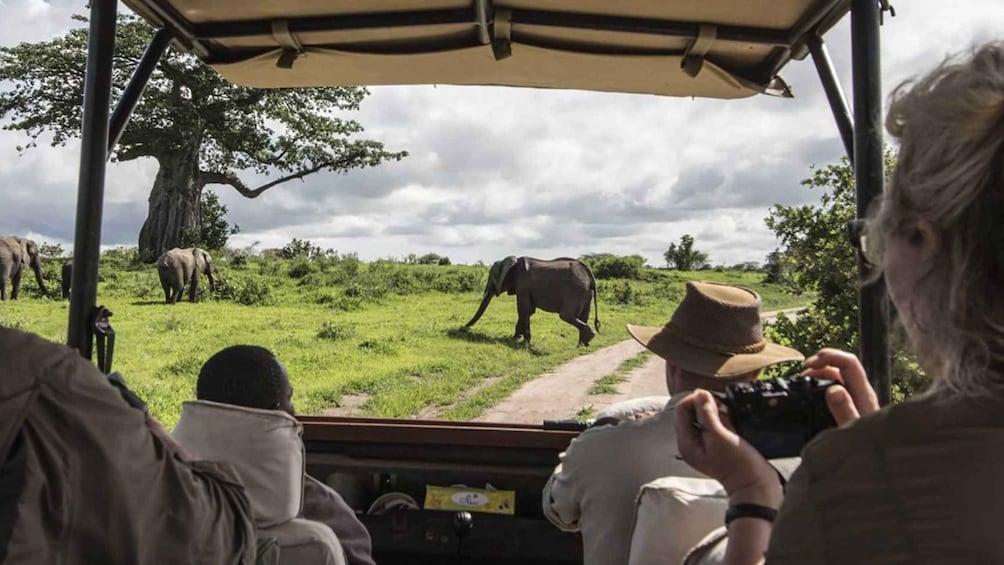 Picture 2 for Activity Nairobi: 3-Day Maasai Mara Group Tour with 4X4 Jeep Safari