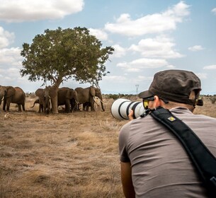 Nairobi: 3-Day Maasai Mara Group Camping or Lodge Safari