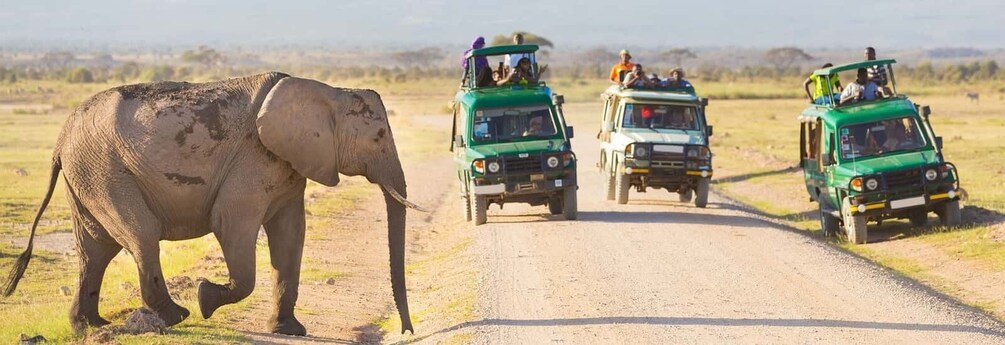 Picture 6 for Activity Nairobi: 3-Day Maasai Mara Group Tour with 4X4 Jeep Safari