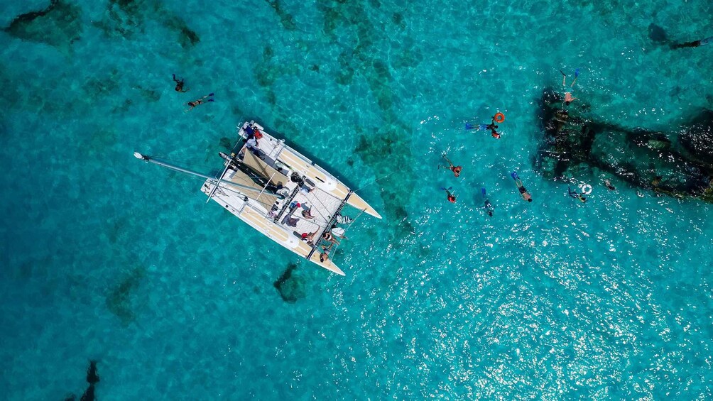 Picture 6 for Activity Half-Day All-Inclusive Private Catamaran Isla Mujeres