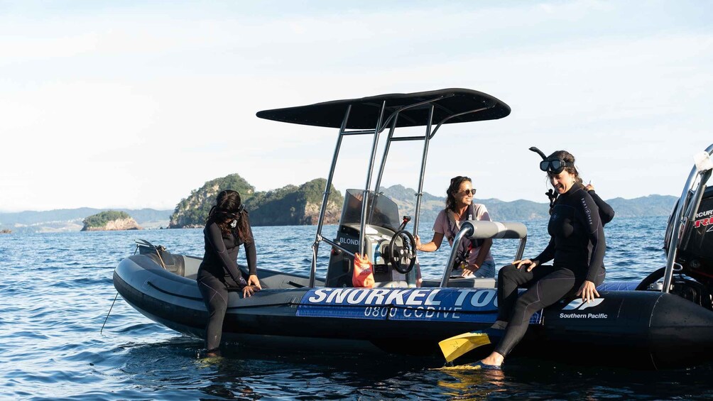 Picture 9 for Activity Cathedral Cove Marine Reserve- Specialised Snorkel Boat Trip