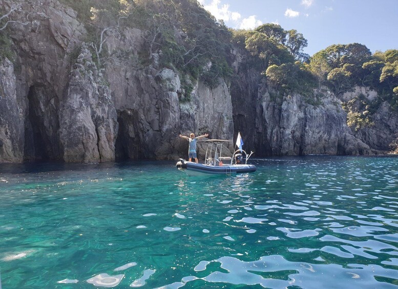 Picture 4 for Activity Cathedral Cove Marine Reserve- Specialised Snorkel Boat Trip