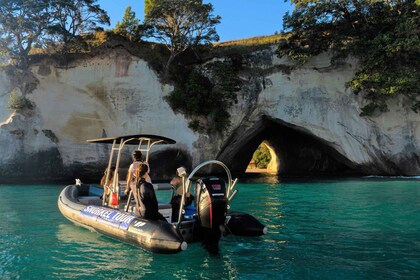 Cathedral Cove Marine Reserve- Specialised Snorkel Boat Trip