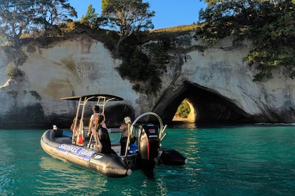 Cathedral Cove Marine Reserve- Specialised Snorkel Boat Trip