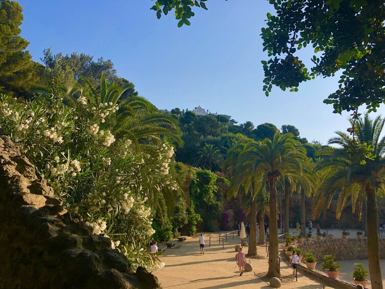 Park Güell Skip-the-Line Guided Tour