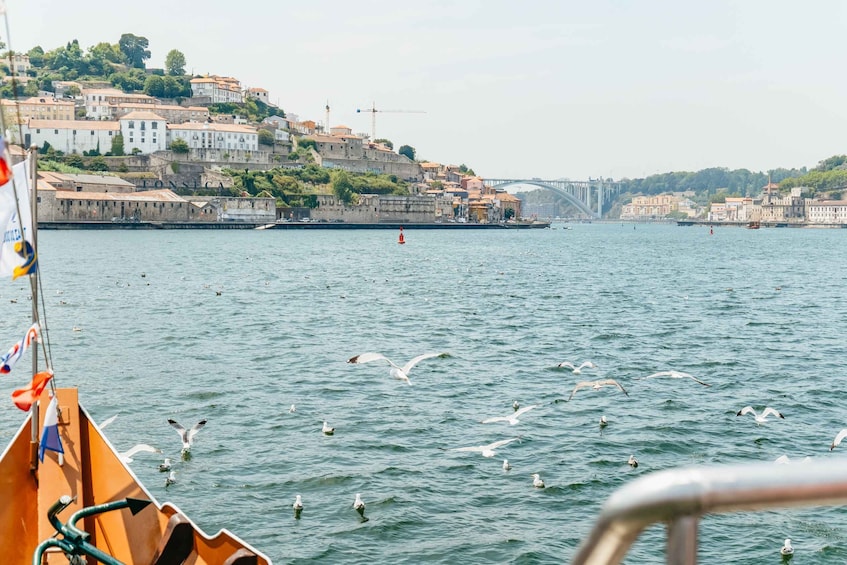 Picture 3 for Activity Porto: 6 Bridges Douro River Cruise