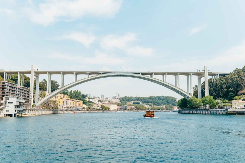 Picture 10 for Activity Porto: 6 Bridges Douro River Cruise