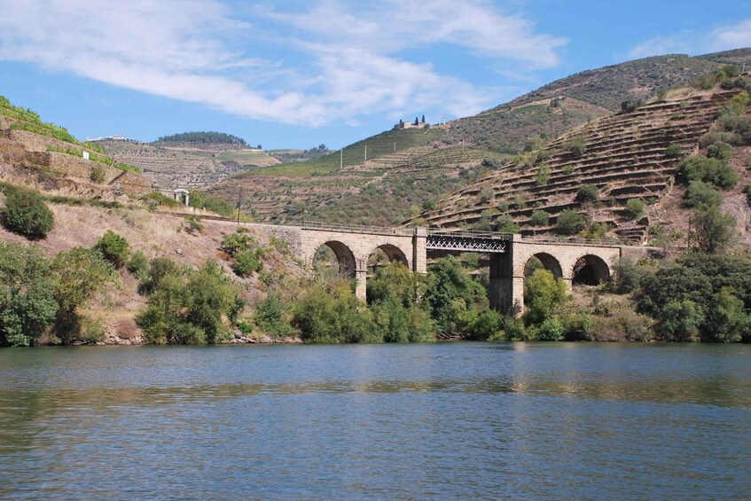 Picture 2 for Activity Pinhão: 4 Hour Douro Valley Kayak Rental