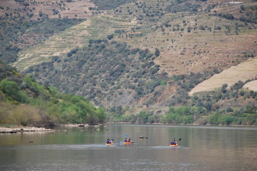 Picture 4 for Activity Pinhão: 4 Hour Douro Valley Kayak Rental