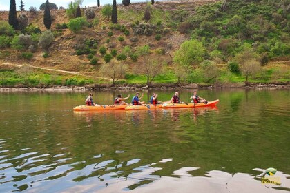 Pinhão: 4 Hour Douro Valley Kayak Rental