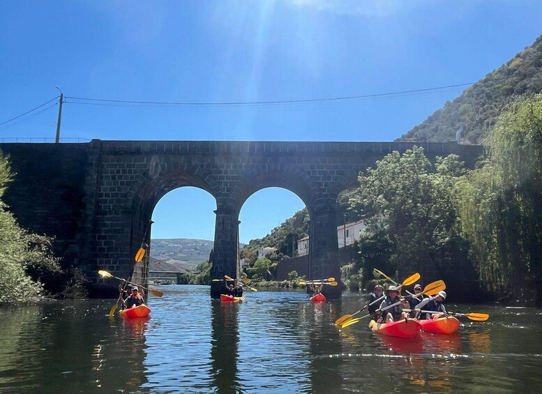 Picture 12 for Activity Pinhão: 4 Hour Douro Valley Kayak Rental