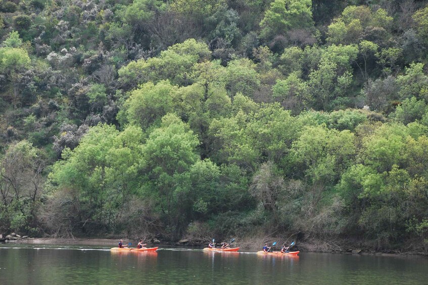 Picture 6 for Activity Pinhão: 4 Hour Douro Valley Kayak Rental