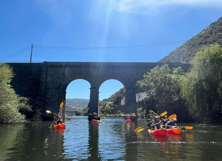 Picture 12 for Activity Pinhão: 4 Hour Douro Valley Kayak Rental