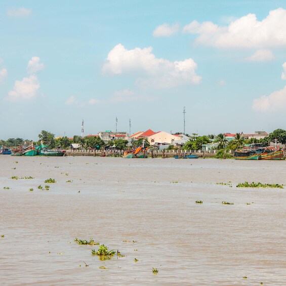 Picture 5 for Activity From Ho Chi Minh City: Mekong Delta Private Full-Day Tour