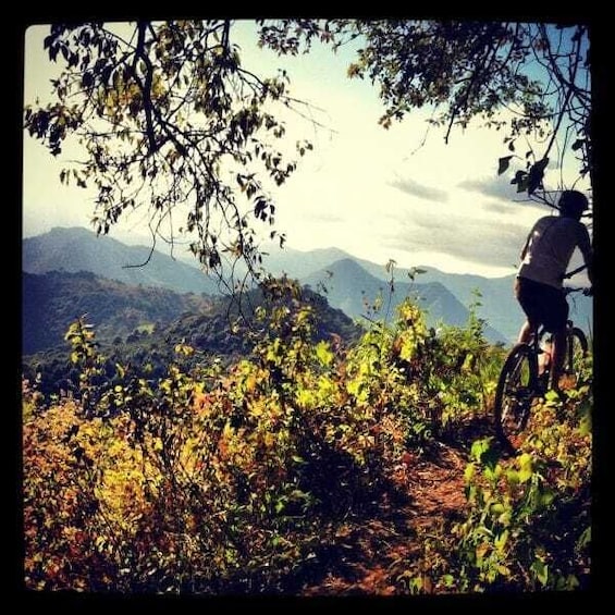 Picture 6 for Activity Antigua: Cielo Grande Half-Day Expert Bike Ride