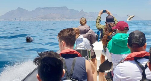 เคปทาวน์: Marine Big 5 Ocean Safari จาก V&A Waterfront