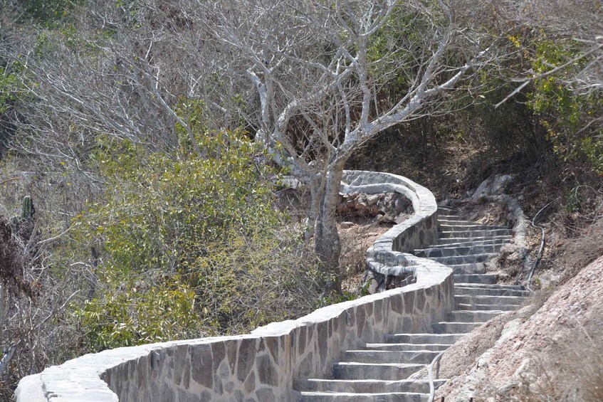 Picture 6 for Activity Mazatlan: El Faro Lighthouse Tour with Free Digital Photos