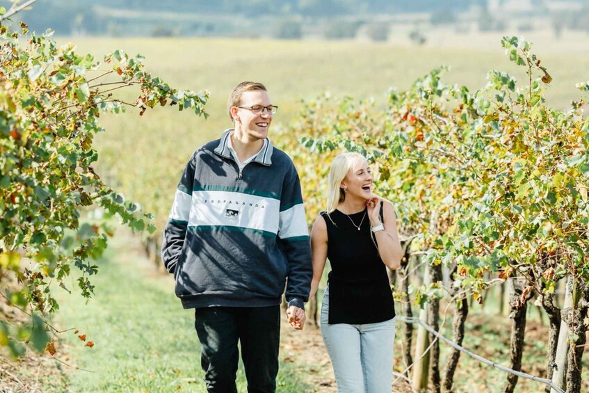 Picture 2 for Activity Newcastle: Boutique Hunter Valley Wine Tour