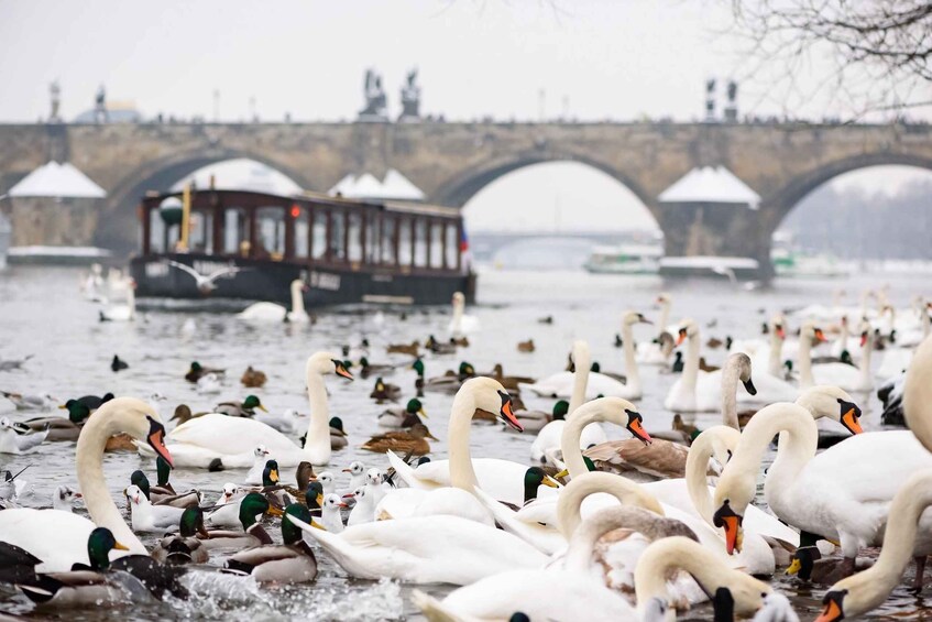 Picture 1 for Activity Prague: 1.5-Hour River Boat Cruise and Guided Tour