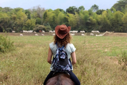 Cali: Horseback Riding