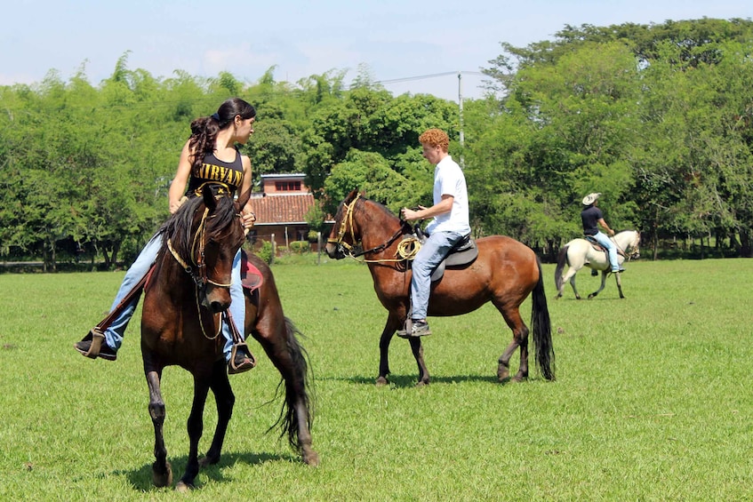 Picture 2 for Activity Cali: Horseback Riding