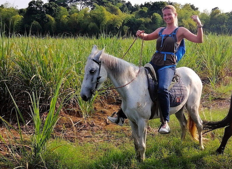 Picture 4 for Activity Cali: Horseback Riding